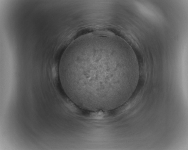 X0000112950131200908311517