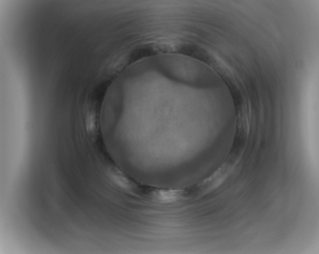 X0000112950134200908311517