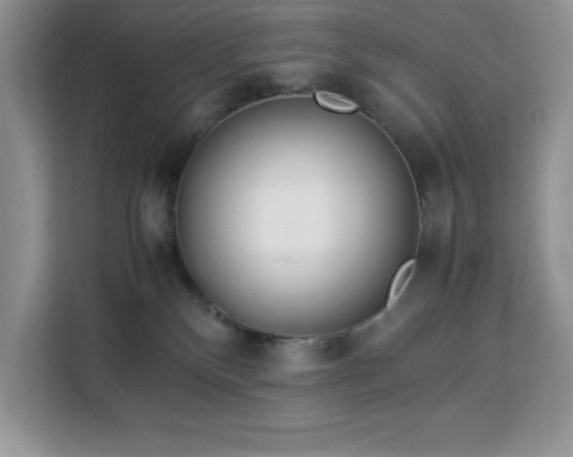 X0000112950136200908311517