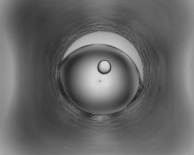 X0000112950137200908311517