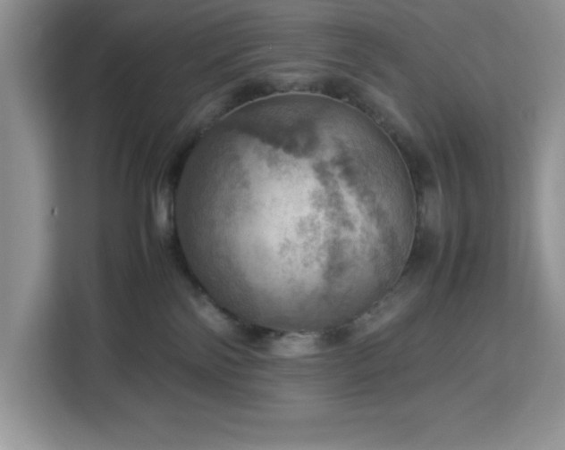 X0000112950138200908311517