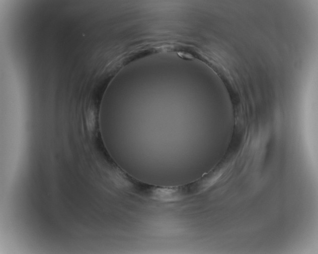 X0000112950139200908311517