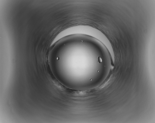 X0000112950140200908311517