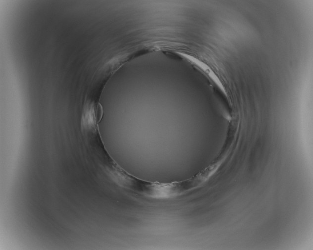 X0000112950143200908311517