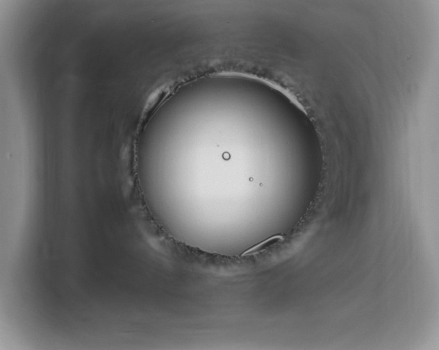 X0000112950144200908311517