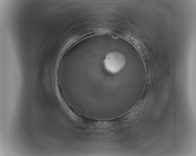 X0000112950145200908311516