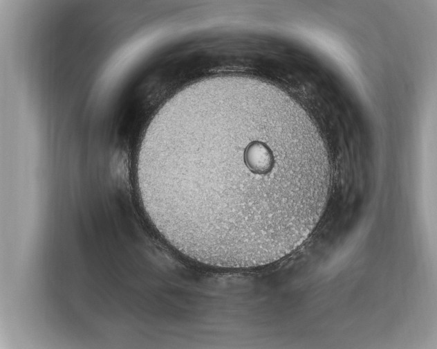 X0000112950146200908311516