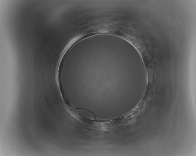 X0000112950147200908311516