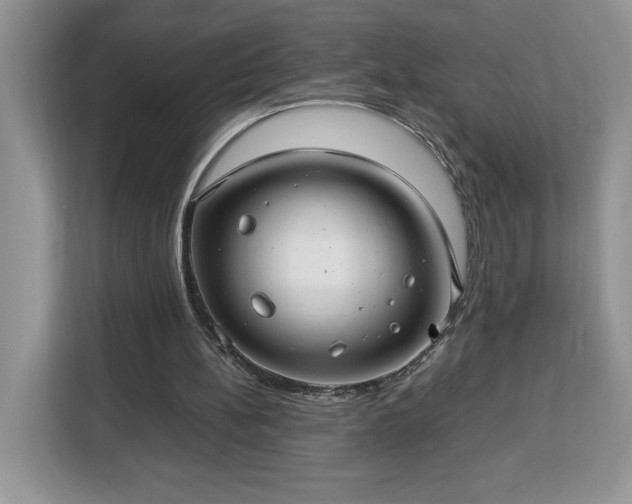 X0000112950148200908311516