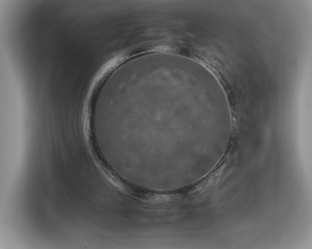 X0000112950149200908311516