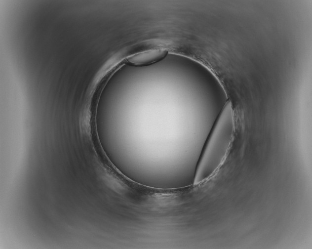 X0000112950150200908311516