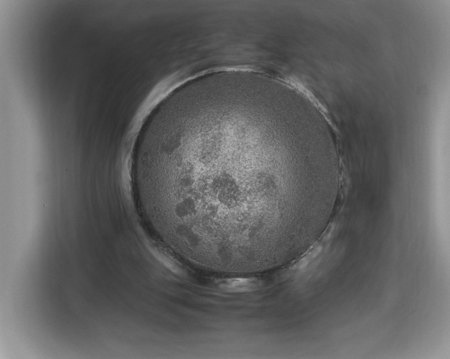 X0000112950151200908311516