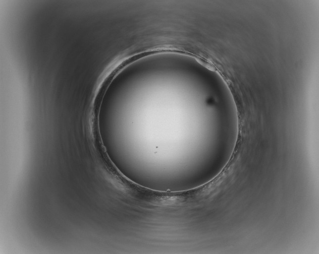 X0000112950152200908311516