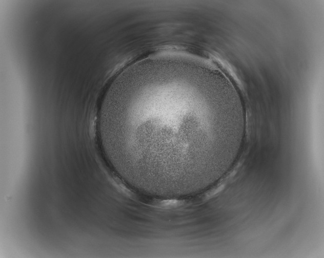 X0000112950153200908311516