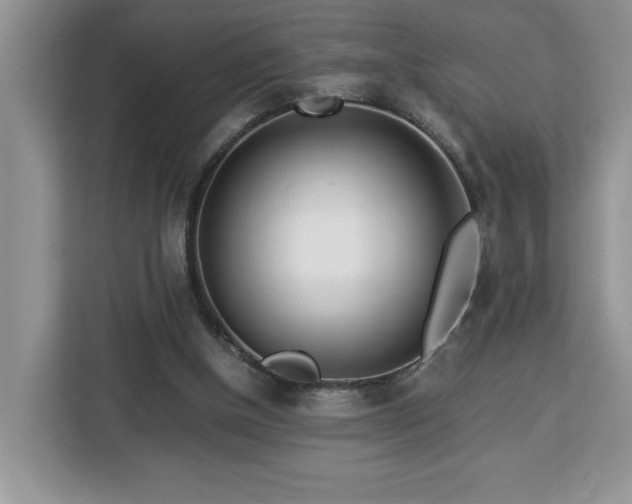 X0000112950154200908311516