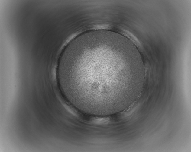 X0000112950155200908311516