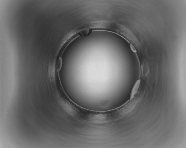 X0000112950156200908311516