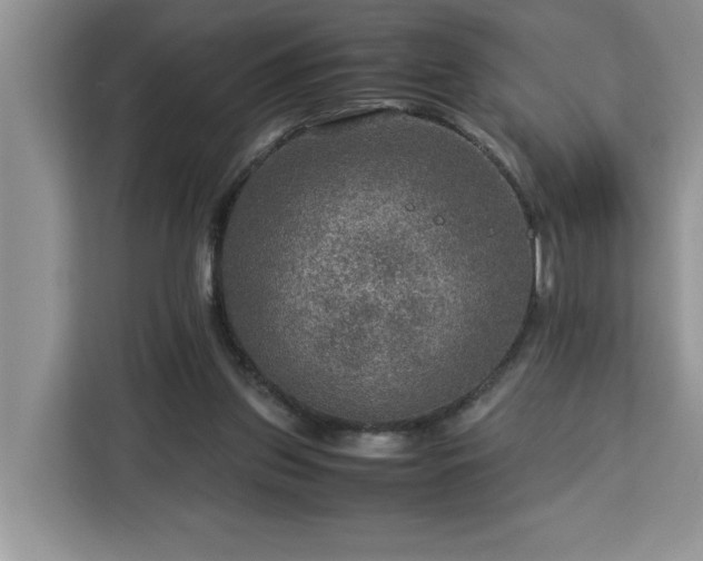 X0000112950157200908311516