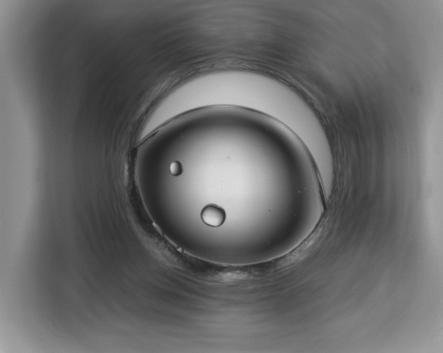 X0000112950158200908311516