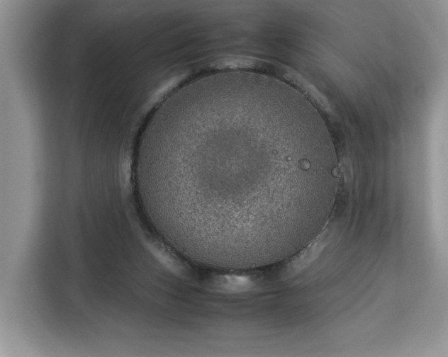 X0000112950159200908311516