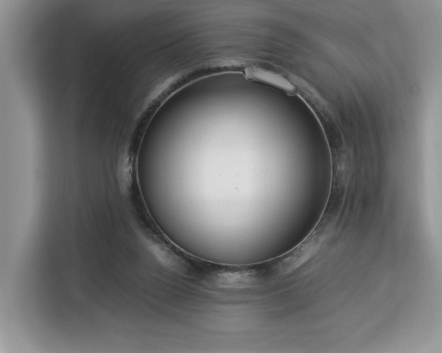 X0000112950160200908311516