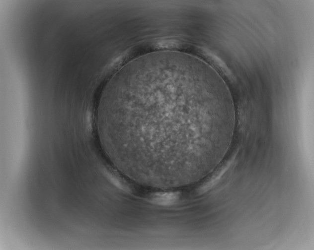 X0000112950161200908311516