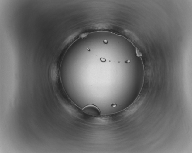 X0000112950164200908311516