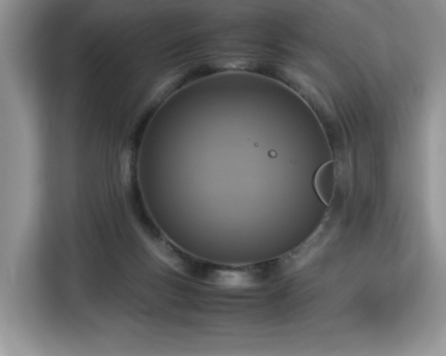 X0000112950167200908311516