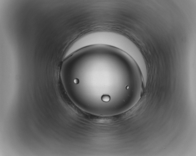 X0000112950168200908311516