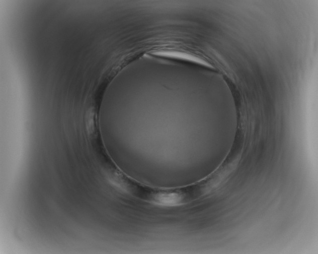 X0000112950169200908311516