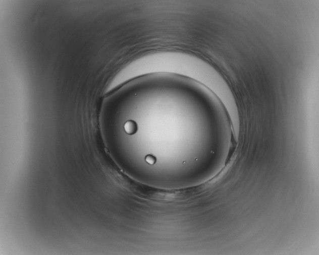 X0000112950170200908311516