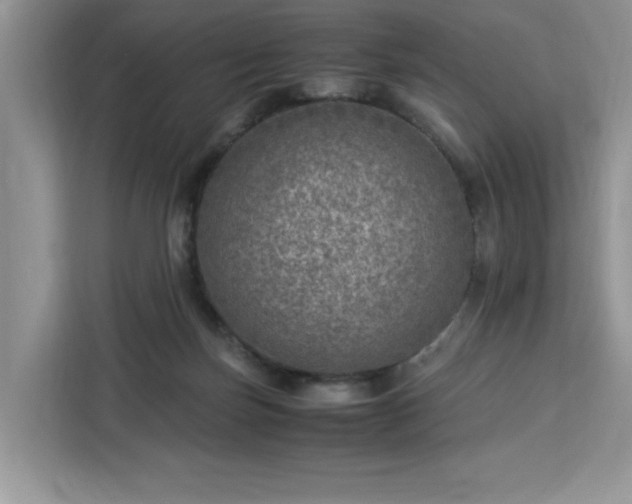 X0000112950171200908311516