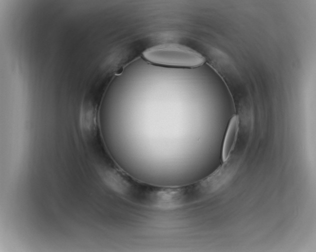 X0000112950172200908311516