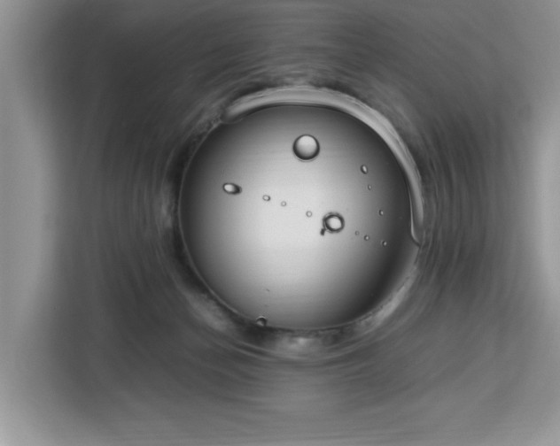 X0000112950174200908311516