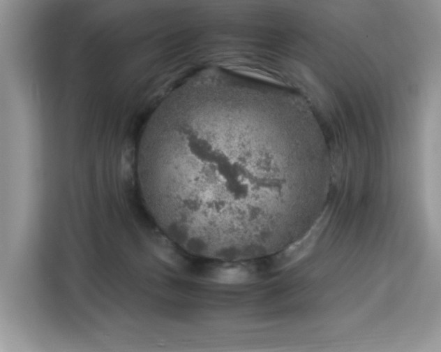 X0000112950175200908311516