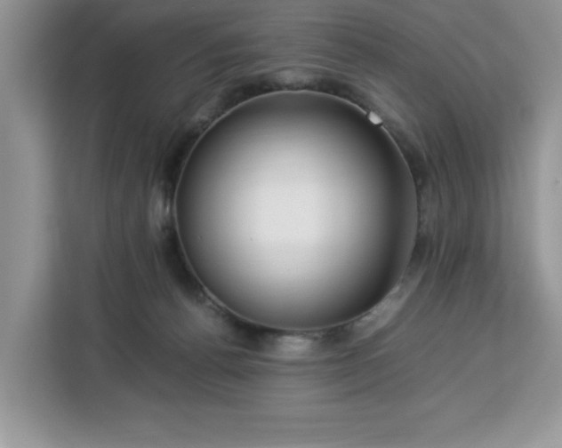 X0000112950176200908311516