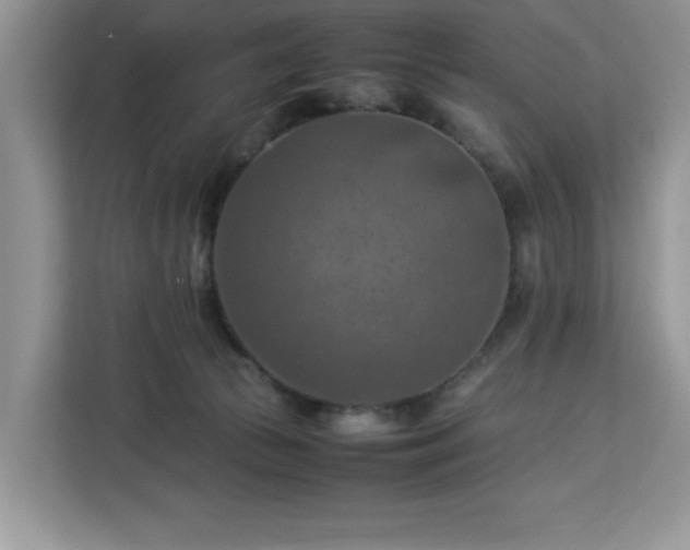 X0000112950177200908311517