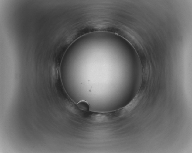 X0000112950180200908311517