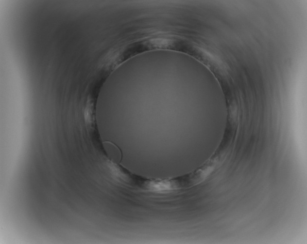 X0000112950181200908311517