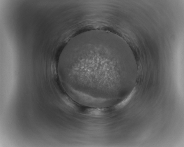 X0000112950182200908311517