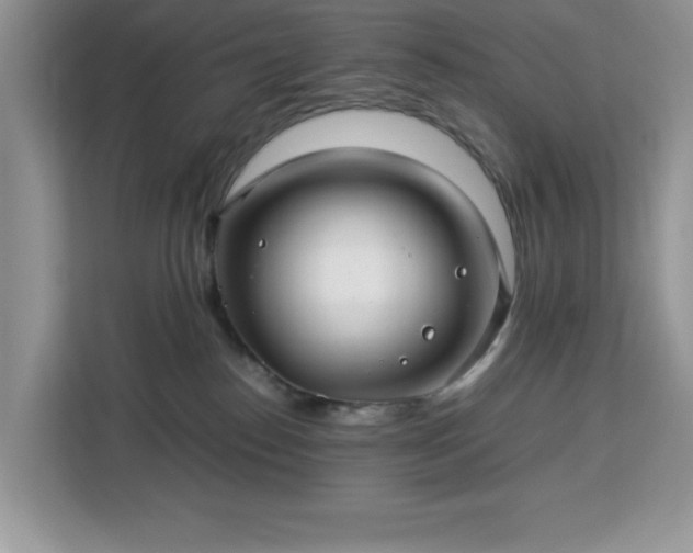 X0000112950186200908311517