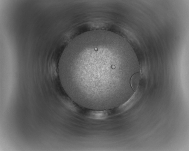 X0000112950187200908311517