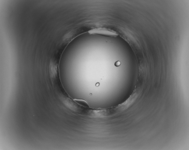 X0000112950188200908311517