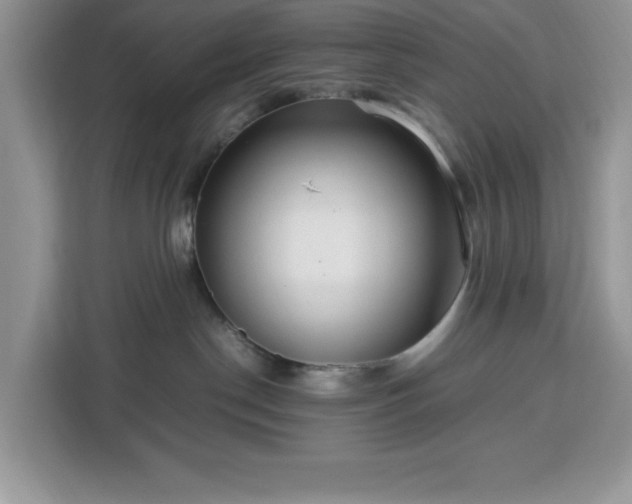 X0000112950190200908311517