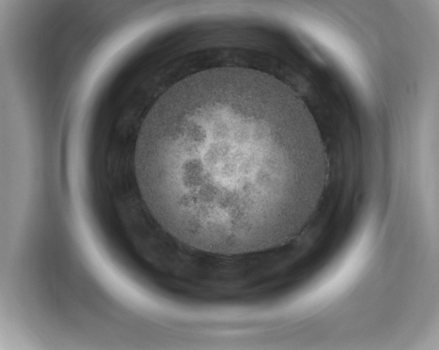 X0000112950191200908311517