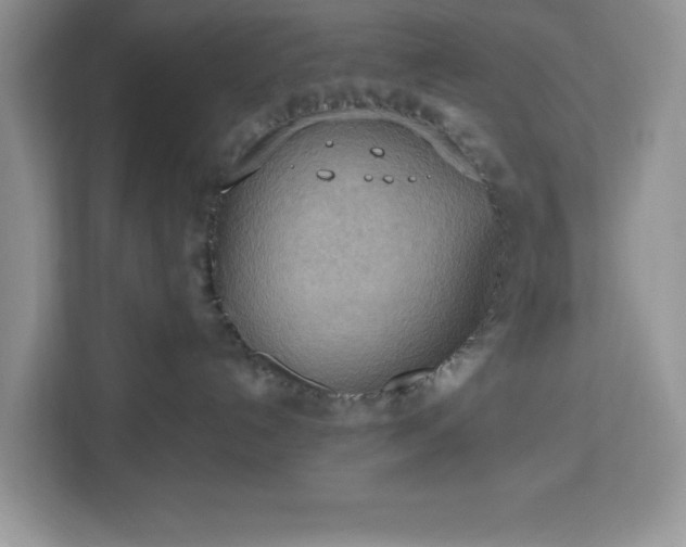 X0000112950192200908311517