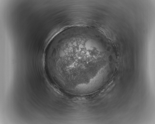 X0000112950194200908311516