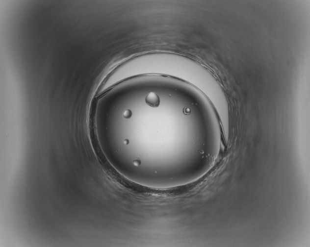 X0000112950195200908311516