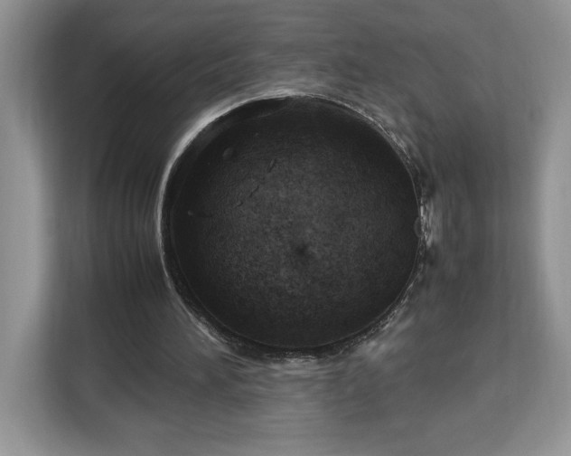 X0000112950196200908311516