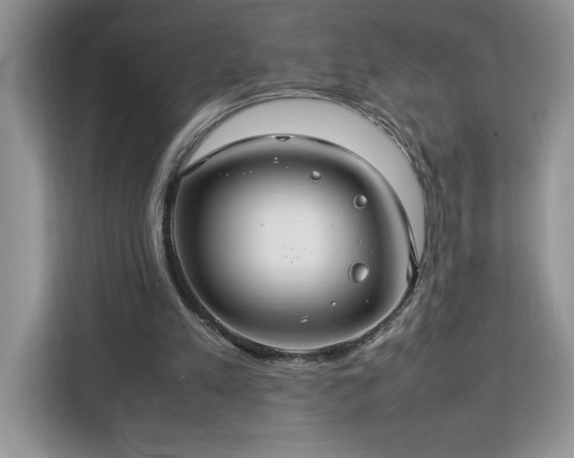 X0000112950197200908311516